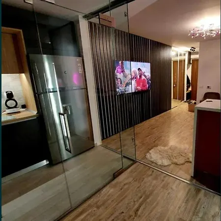 Studio De Inchiriat In Apartment Timisoara